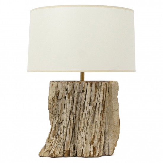 Petrified Wood Table Lamp